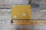 Sliver Stars Coin Purse